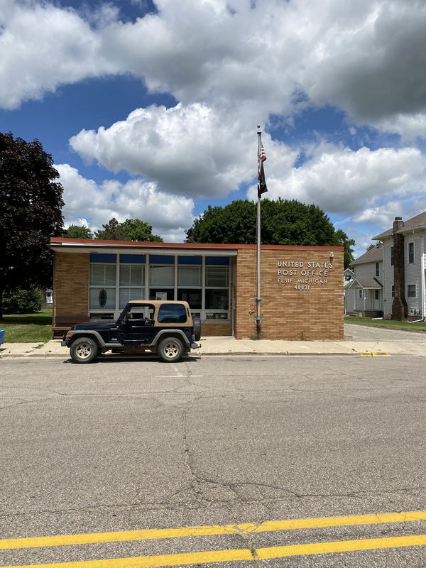 Elsie - July 12 2020 (newer photo)